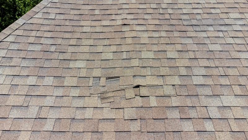 Asphalt Roof Inspection in Tafton, PA
