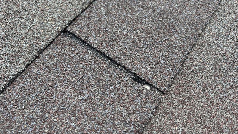 Asphalt Roof Repair in Eldred, NY