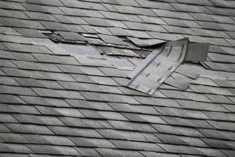 Asphalt Roof Repair in Shohola, PA