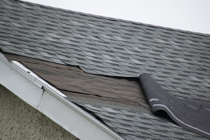 Asphalt Shingles Repair in Shohola, PA