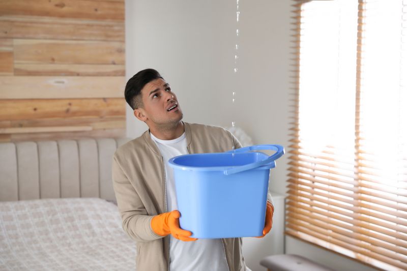 Bedroom Leak Repair in Pike County, PA