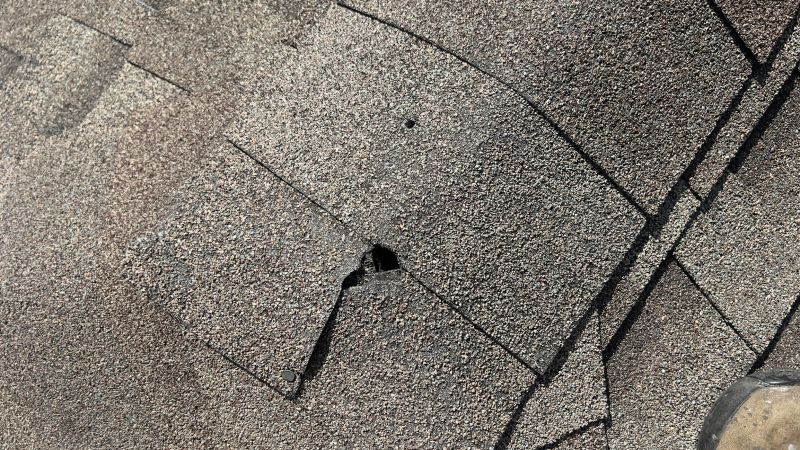 Damaged Roof Repair in Eldred, NY