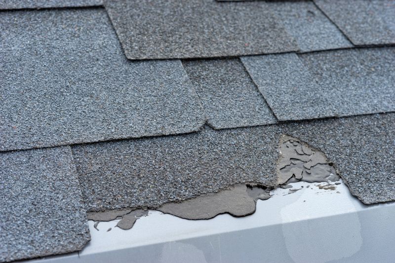 Damaged Roof Repair in Franklin, NJ