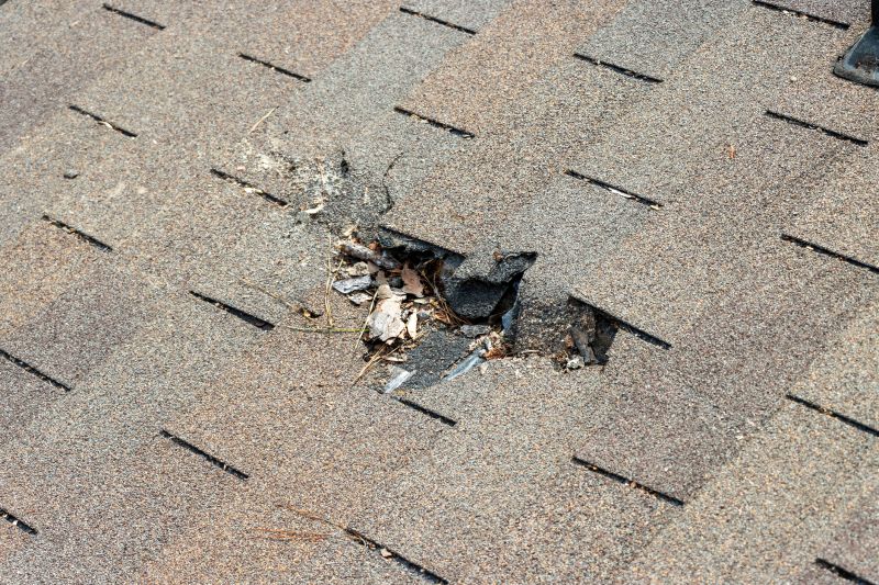 Damaged Roof Replacement in Dingmans Ferry, PA