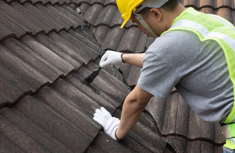 Roof Patching Service in Pike County, PA