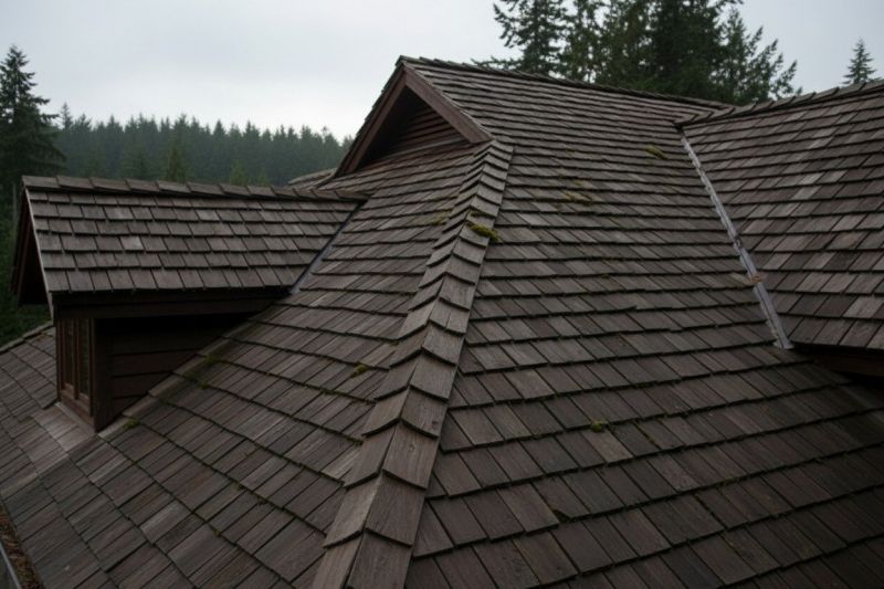 Wood Shake Roof Replacement in Sussex, NJ